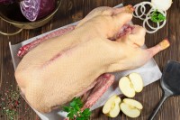 Emsländische Landgans 4.750 TK